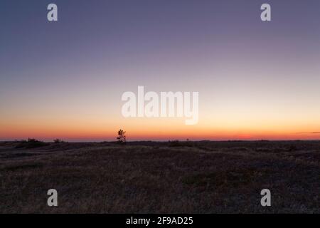 Abendstimmung am Darßer Ort an der Ostsee in der Kernzone des Nationalparks Vorpommersche Boddenlandschaft am Darßer Weststrand, Mecklenburg-Vorpommern Stockfoto