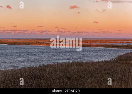 Abendstimmung am Darßer Ort an der Ostsee in der Kernzone des Nationalparks Vorpommersche Boddenlandschaft am Darßer Weststrand, Mecklenburg-Vorpommern Stockfoto