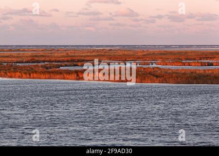 Abendstimmung am Darßer Ort an der Ostsee in der Kernzone des Nationalparks Vorpommersche Boddenlandschaft am Darßer Weststrand, Mecklenburg-Vorpommern Stockfoto