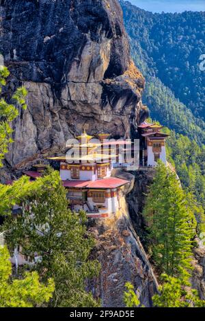 Das Taktsang-Kloster, bekannt als Tiger-Nest-Kloster, befindet sich in Paro, Bhutan. Das Kloster ist einer der am meisten verehrten Wallfahrtsorte Stockfoto