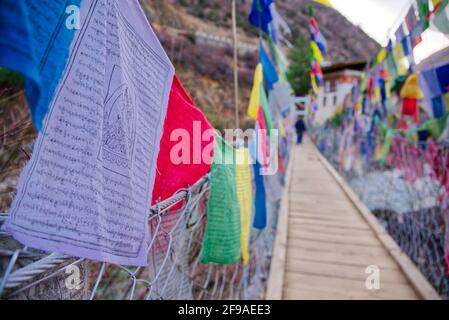 Die Tachogang Lhakhang-Brücke, die im Volksmund als Eiserne Kettenbrücke bekannt ist, überquert den Paro Chhu zum Dzong. Diese 600 Jahre alte Brücke wurde von Than gebaut Stockfoto