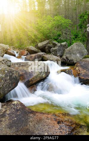 Wasserfälle am Bach Studeny potok in der Hohen Tatra, Westkarpaten, Slowakei Stockfoto