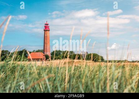 Leuchtturm Flügge (Flügge) am Sommertag auf der deutschen Insel Fehmarn mit Gras und Feld Stockfoto