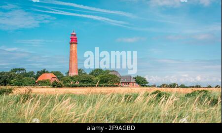 Leuchtturm Flügge (Flügge) am Sommertag auf der deutschen Insel Fehmarn mit Gras und Feld Stockfoto