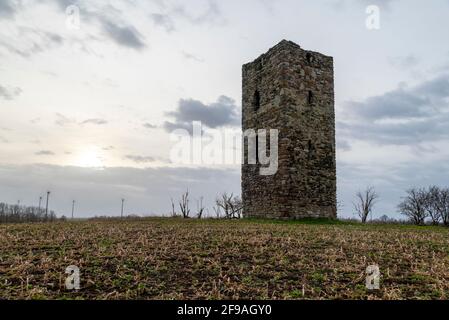 Deutschland, Sachsen-Anhalt, Wanzleben, Wachturm aus Feldsteinen, der blaue Aussichtsturm aus dem Jahr 1438. Gehört zu den ältesten Gebäuden der Magdeburger Börde. In Sachsen-Anhalt sind nur noch zwei Kontrollräume aus dieser Zeit erhalten. Stockfoto