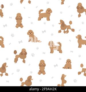 Miniatur-Pudel-Cliparts. Verschiedene Posen, Fellfarben eingestellt. Vektorgrafik Stock Vektor