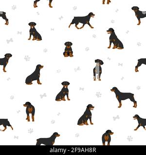 Rottweiler Nahtloses Muster. Verschiedene Posen, Fellfarben eingestellt. Vektorgrafik Stock Vektor