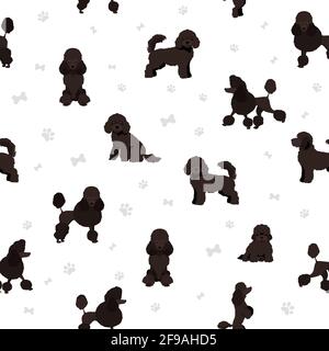 Miniatur-Pudel-Cliparts. Verschiedene Posen, Fellfarben eingestellt. Vektorgrafik Stock Vektor