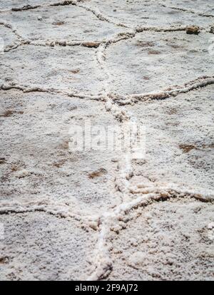 Salt Flat Hexagons Details Badwater Basin in Death Valley, Kalifornien Stockfoto