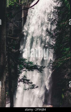 Nevada Falls im Frühling, Blick von Süden mit Nadelwald, Yosemite National Park, Kalifornien, USA Stockfoto