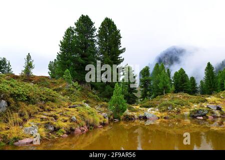 Kleiner See in Lagorai.Val di Fiemme, Italien Stockfoto