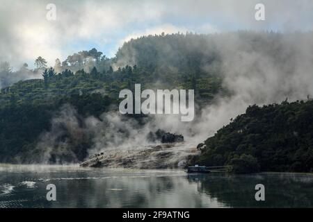 Orakei Korako Geothermiegebiet am Waikato River, Neuseeland, Dampf steigt von Kieselerde-Terrassen im Wald Stockfoto