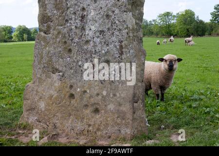 Prähistorische Steine in Ballymeanoch, Kilmartin, Argyll, Schottland Stockfoto