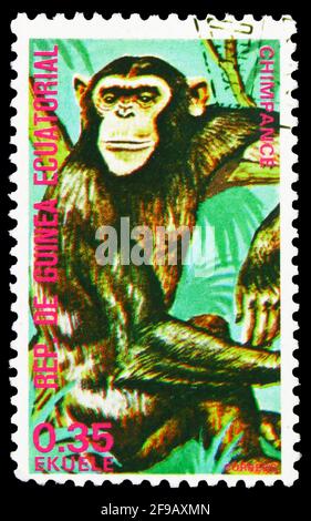 MOSKAU, RUSSLAND - 22. SEPTEMBER 2019: Die in Äquatorialguinea gedruckte Briefmarke zeigt Chimpanzee (Pan troglodytes), Monkeys-Serie, um 1975 Stockfoto