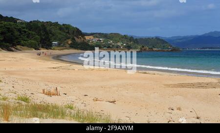 Kuaotunu Beach, ein langer Streifen aus goldenem Sand nördlich von Whitianga auf der malerischen Halbinsel Coromandel, Neuseeland Stockfoto