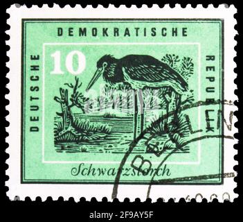 MOSKAU, RUSSLAND - 22. SEPTEMBER 2019: Briefmarke gedruckt in Deutschland, Demokratische Republik, zeigt Schwarzstorch (Ciconia nigra), Native Birds Serie, Cir Stockfoto