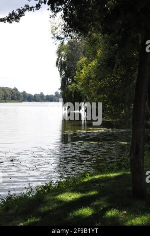 Riverside in Nordpolen. Stockfoto