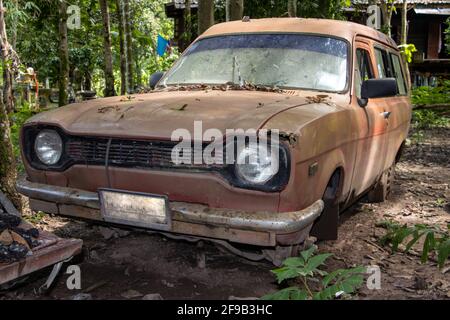 Wracks von alten Autos unter den Bäumen im Wald. Stockfoto