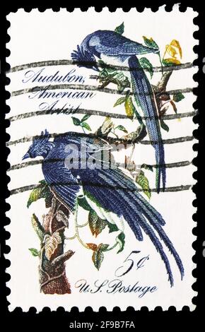 MOSKAU, RUSSLAND - 22. SEPTEMBER 2019: Die in den USA gedruckte Briefmarke zeigt den Schwarzkehligen Elster (Calocitta colliei), John James Audubon is Stockfoto