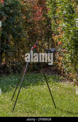 Ein schwarzes Stativ mit einer abnehmbaren Kreuzsäule wird platziert In einem Rasen, um Blumen und Insekten aus der Nähe zu fotografieren Auf stabile Weise Stockfoto