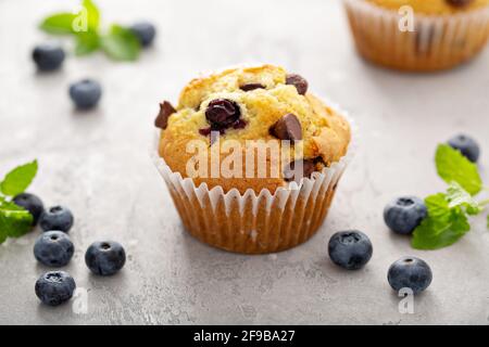 Schokoladensplitter und Blaubeer-Muffin frisch gebacken Stockfoto