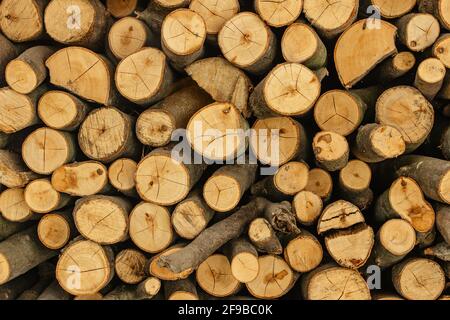 Details mit Holzstruktur. Stapel Brennholz. Stapel von Holzstämmen für den Winter gelagert. Mauer aus Holz. Natürlicher Hintergrund aus Holz. Lagerung von trockenem, gehacktem Brennholz Stockfoto