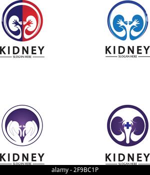 Gesundheit und Pflege Niere Logo Design Konzept. Vektorvorlage Für Urologie-Logo Stock Vektor