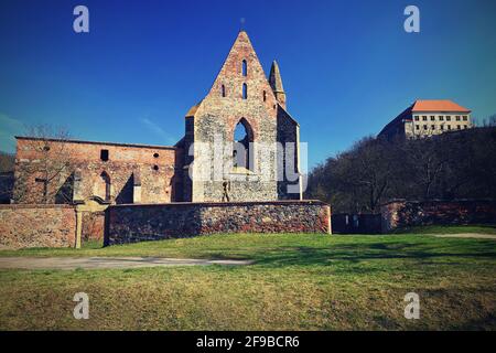 Das Rosa-Coeli-Kloster. Alte katholische Ruine des Frauenklosters in der Nähe von Dolni Kounice - Tschechische Republik. Stockfoto