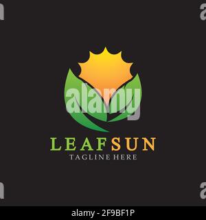 Sun & Green Leaf Logo Icons Vektor-Design-Vorlage. Eco Sun Energy Logo isoliert auf schwarzem Hintergrund Stock Vektor