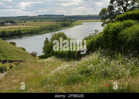 The River Tweed and Castle Val Gardens in Berwick-upon-Tweed, Northumberland, Großbritannien Stockfoto