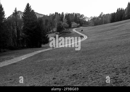 Graustufenaufnahme eines Mannes, der durch einen Dreck nach Hause geht Straße umgeben von schönen Landschaft Feld Stockfoto