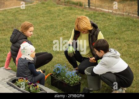 Mutter mit vielen Kindern pflanzt Blumen in Töpfen vor oder hinter dem Haus. Gerne verbringen Sie Zeit zusammen Stockfoto