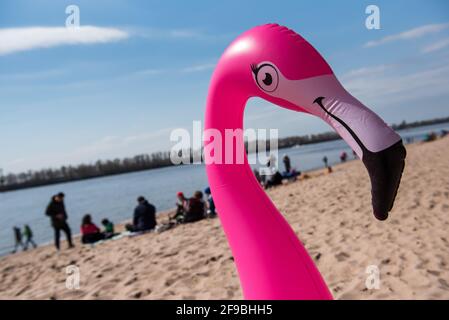 Hamburg, Deutschland. April 2021. Am Strand der Elbe bei Övelgönne steht ein aufgeblasene Gummiflamingo. Quelle: Daniel Bockwoldt/dpa/Alamy Live News Stockfoto