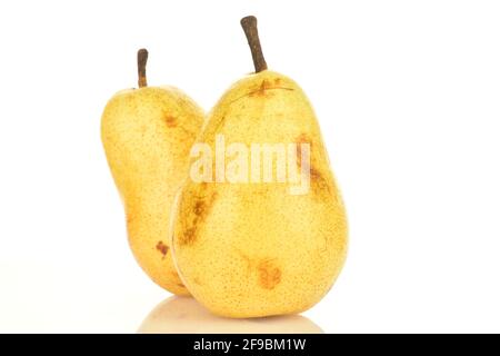 Zwei saftige Birnen , Makro, auf weißem Hintergrund. Stockfoto