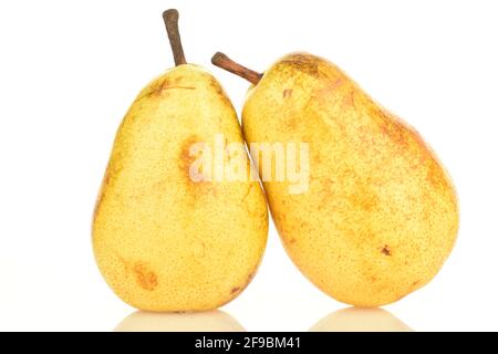 Zwei saftige Birnen , Makro, auf weißem Hintergrund. Stockfoto