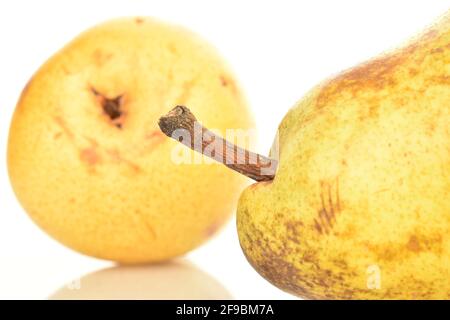 Zwei saftige Birnen , Makro, auf weißem Hintergrund. Stockfoto