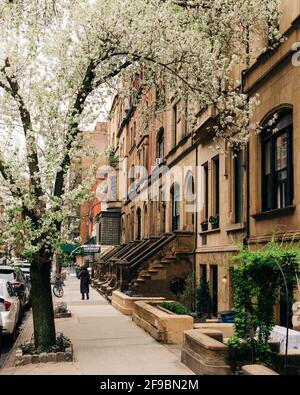 Brownstones an der 73rd Street in der Upper East Side, Manhattan, New York City Stockfoto