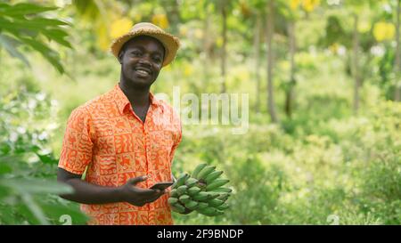 Afrikanischer Landwirt mit Smartphone für die Forschung Banane in Bio-Gemüse Farm.Landwirtschaft oder Anbaukonzept Stockfoto