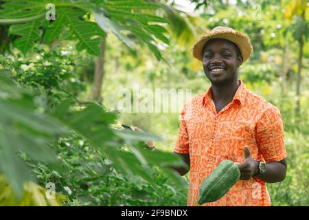 Afrikanischer Bauer mit Smartphone für die Erforschung Papaya in Bio-Gemüse Farm.Landwirtschaft oder Anbaukonzept Stockfoto