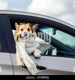 Sie lehnte sich aus einem vorbeifahrenden Auto Tragen einer Fliegerbrille Stockfoto