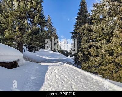 Winterwanderweg in Richtung Zervreilahorn oberhalb des Zervreilasee-Stausees. Schöne Aussicht auf den verschneiten Berg Stockfoto