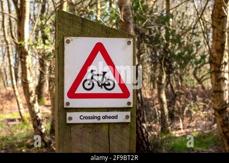 Ein Warnschild auf einem Holzpfosten, das einen Radweg überquert In einem Waldgebiet Stockfoto