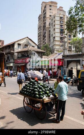 Wassermelonenverkäufer im Vorort Dadar in Mumbai, Maharashtra, Indien, Asien. Stockfoto