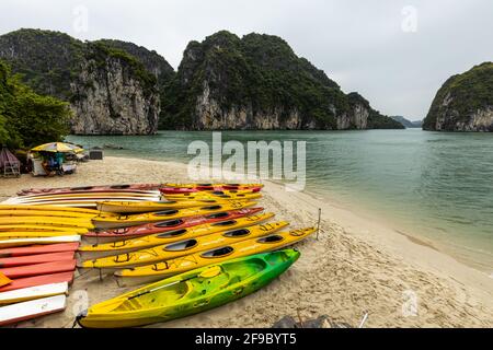 Ruderboote für Touristen in der Ha Long Bay von Vietnam Stockfoto