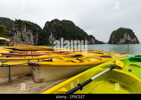 Ruderboote für Touristen in der Ha Long Bay von Vietnam Stockfoto