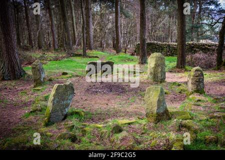 Doll Tor Stone Circle am Rande von Stanton Moor im Peak District National Park, Großbritannien Stockfoto