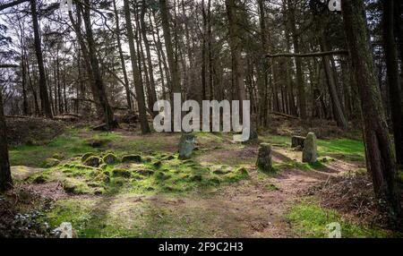 Doll Tor Stone Circle am Rande von Stanton Moor im Peak District National Park, Großbritannien Stockfoto
