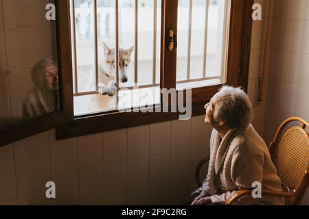 Die alte Frau lächelt durch die einen sibirischen Husky-Hund an Angezeigt Stockfoto