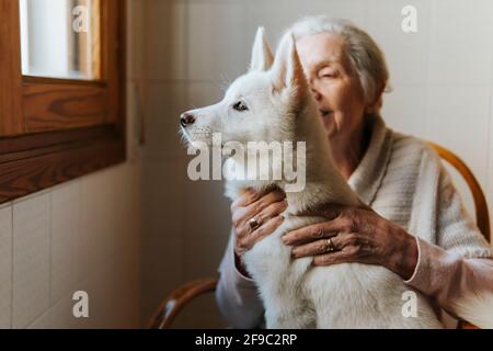 Die ältere Frau umarmt ihren weißen sibirischen Husky-Welpenhund zärtlich Stockfoto