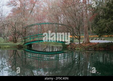 Grüne Fußgängerbrücke über das Wasser bei Gibbs Gardens mit Orange Tulpen Stockfoto